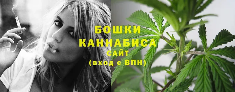 Марихуана White Widow  закладки  Каменск-Шахтинский 